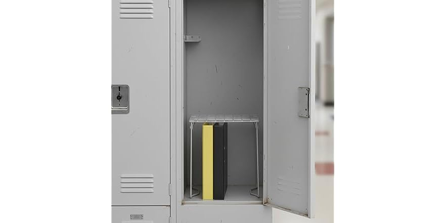 Honey-Can-Do Stackable Steel Wire Locker Shelf
