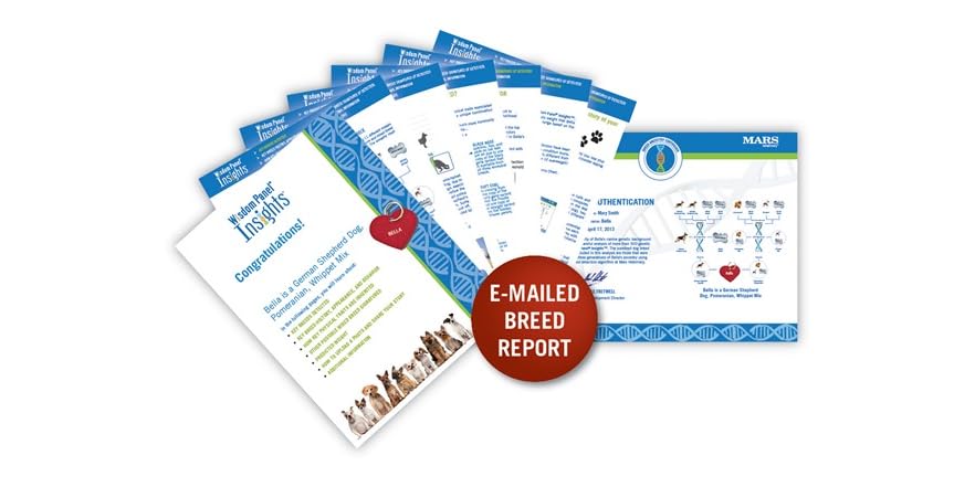 wisdom panel insights