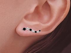 Silver Journey Black CZ Ear Pin Earrings