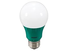 Green LED A19 Light Bulb, 4 pack