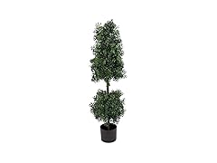 National Tree Company 4 ft Boxwood Tree