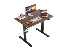 Agilestic 48in Electric Standing Desk
