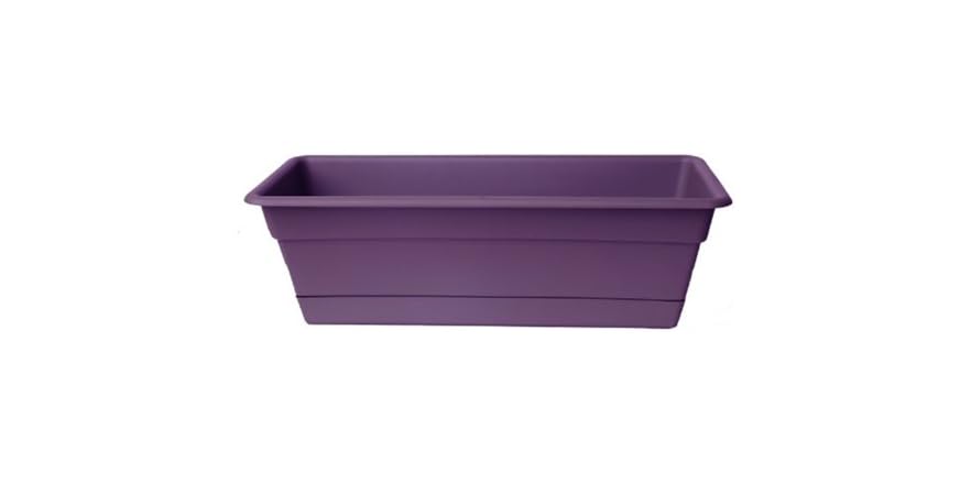 6-Pack Window Box, 36-Inch, Exotica