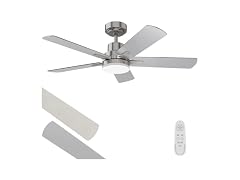 Regair Ceiling Fan