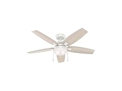 Hunter Fan 52 Inch White Ceiling Fan with Light