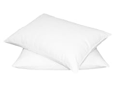 Quilted Feather Pillows Set of 2