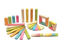 Tegu 40-Piece Explorer Set (Your Choice)