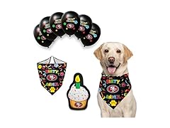 Pets First NFL Dog Birthday Party Set