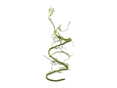Pangea Reptile Ultimate Vine for Terrarium Habitat (Green)