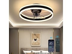 SUNCOJIA 20" Modern Flush Mount Fandelier