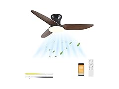 ANKBOY Bedroom Ceiling Fans with Lights