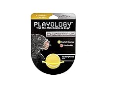 Playology Squeaky Chew Ball Dog Toy Chicken Scent