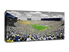 Michigan Maize & Blue