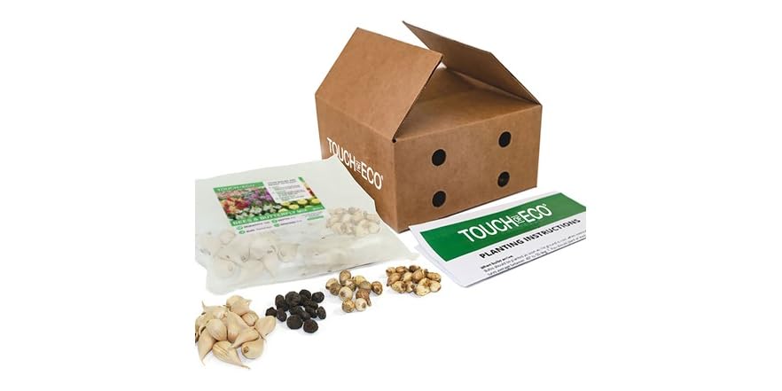 Bees & Butterfly Collection (100 Bulbs)