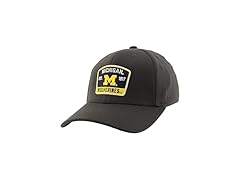 ZHATS Men's NCAA Michigan Hat Grey (L)