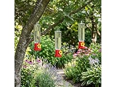 Touch Of ECO Hummingbird Feeder - 3 Pack