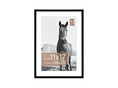 MCS Everline Collection 14x20 Matted Poster Frame