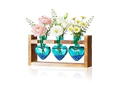 3 Bulb Glass Plant Propagation Station
