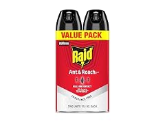 Raid GAR-95 Ant & Roach Killer, 2 Count