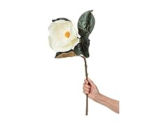 Abbott Collection Large Magnolia Bloom