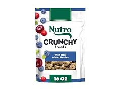 Nutro Crunchy Dog Treats Berries, 16 oz