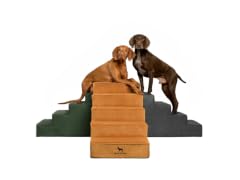 Noah & Paw Dog Stairs
