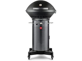 Fuego F24C Professional Carbon Steel Gray Gas Grill