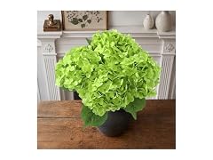 NINTYNINE Hydrangea Artificial Flowers