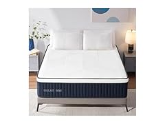 DIGLANT 14 Inch Hybrid Mattress Full