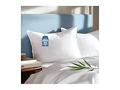 Sylvaris Viscose Pillows, 2 Pack