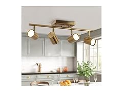 4-Light Track Lighting Kit, Gold Ceiling Light