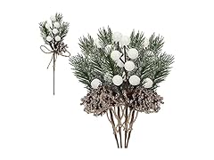 GREENWISH GREENWISH 10Pcs Christmas Pine Cone Pi