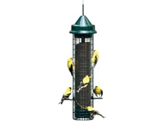 Brome Squirrel Buster Finch Feeder