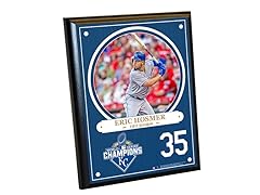 World Series Champions 8x10 Player Plaques