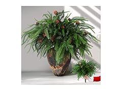 TISEMENT 12 Pcs Real Touch Norfolk Pine Branches