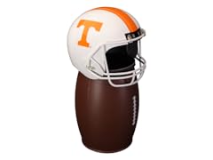 Tennessee FANbasket