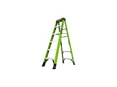Little Giant Ladder Systems 15796-001 6' A-FORCE300