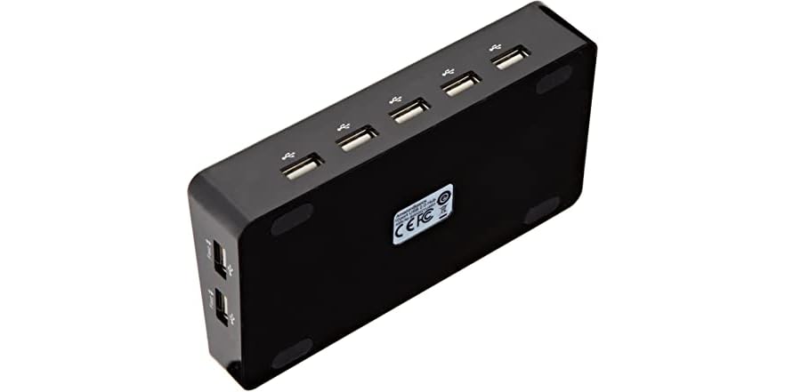 Xiaokeis 10-Port USB 2.0 Hub With Individual Switches - Powered USB Extension Hub | Compact Black Design