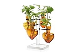  4 Love Heart Vase Plant Propagation