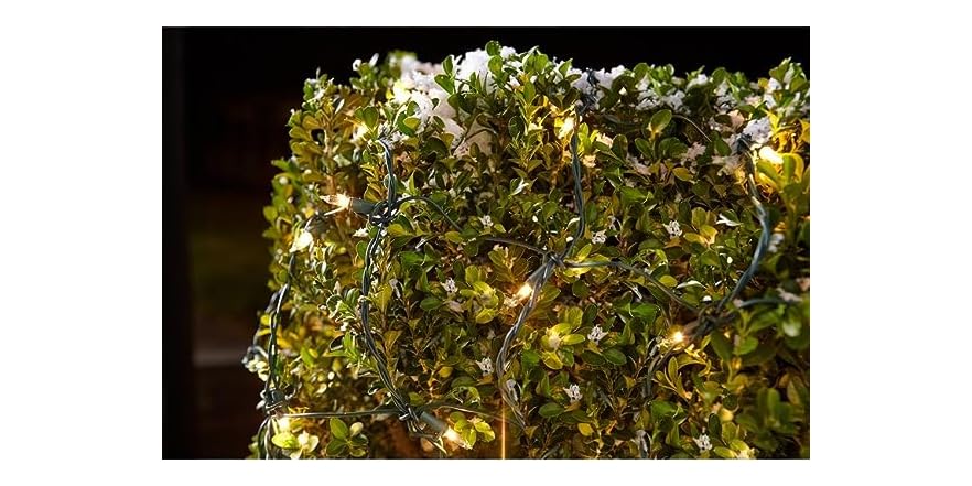150 Net Light Set, Clear Bulbs