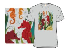 Seahorses