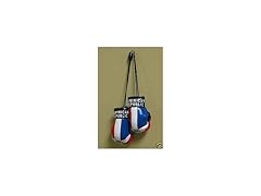Dominican Republic Boxing Glove Flag