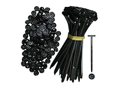 FXiaoy AAP-Auto-061 150PCS Cable Tie Buckle