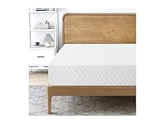 LIFERECORD 10 inch Queen Mattress in a B