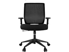 Schwake Ergonomic Office Chair