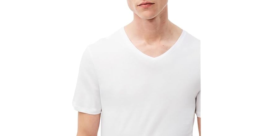 Lacoste Men's V-Neck Undershirt 3-Pack