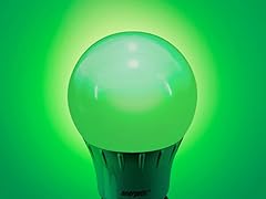 Green LED A19 Light Bulb - 2 Pack
