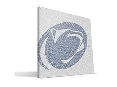 Penn State Nittany Lions