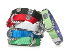 Charm Bracelet