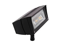 RAB Lighting FUTURE FLOOD 18W WARM LED